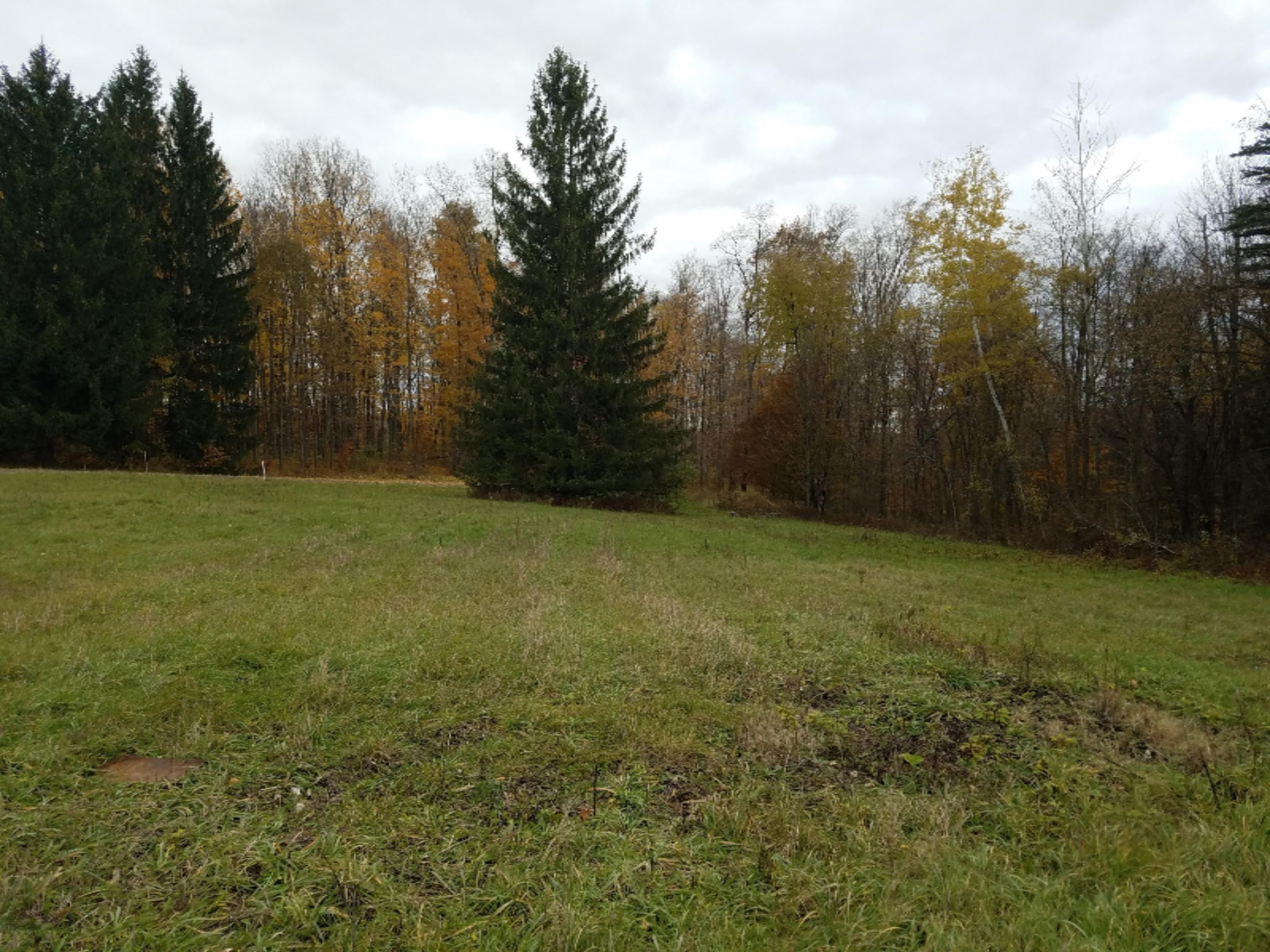 Lot 1 Hjermstad Road Ionia, MI 48846 - Photo 7 of 13 20181102_171837