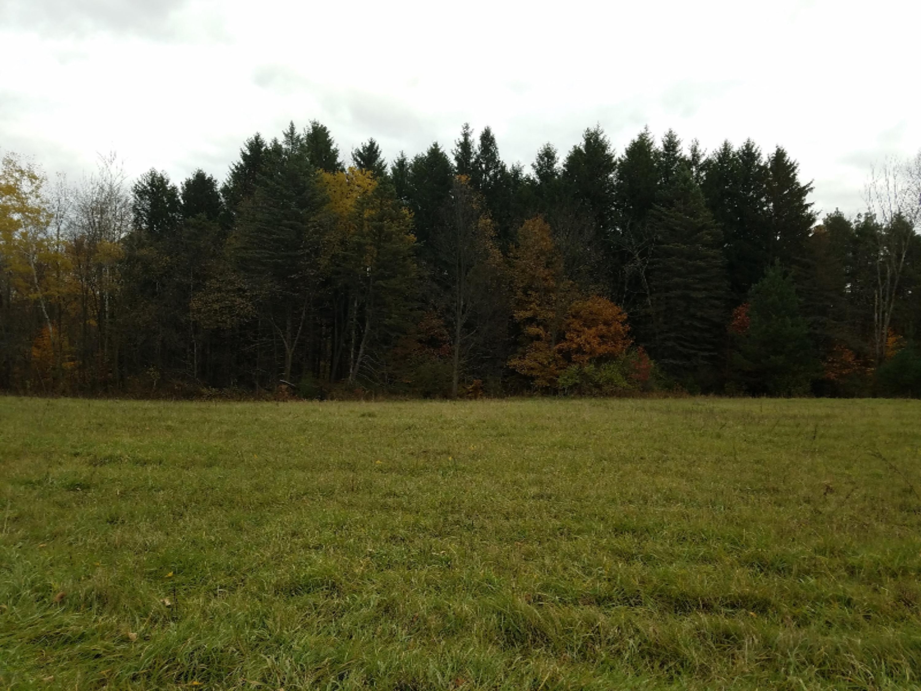 Lot 1 Hjermstad Road Ionia, MI 48846 - Photo 8 of 13 20181102_171903
