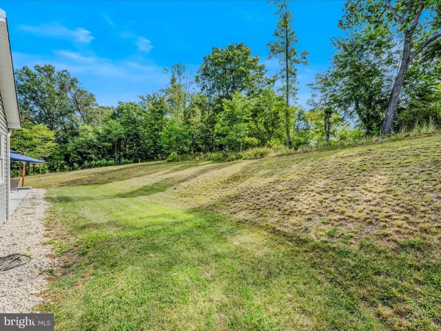 a view of a yard with a tree