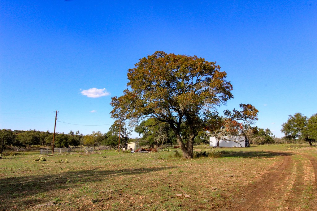 963 Josephine Road Harper, TX 78631 - Photo 14 of 15