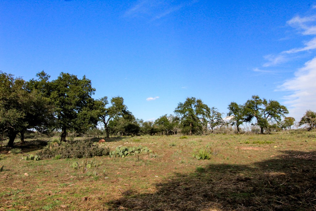 963 Josephine Road Harper, TX 78631 - Photo 8 of 15