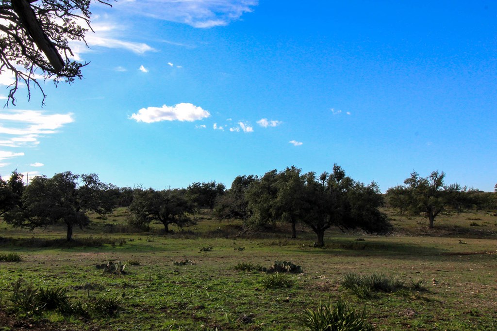 963 Josephine Road Harper, TX 78631 - Photo 9 of 15