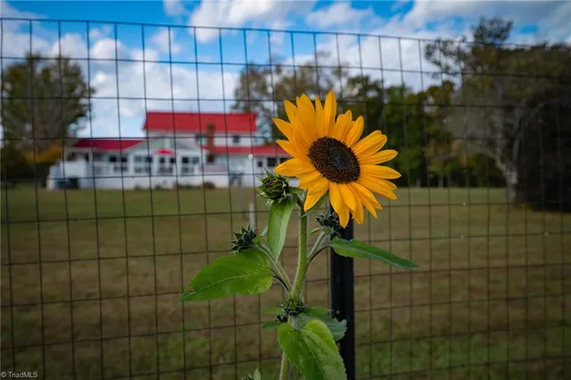 $4,000,000 | 1260 Beaver Island Trail, Walnut Cove, NC 27052