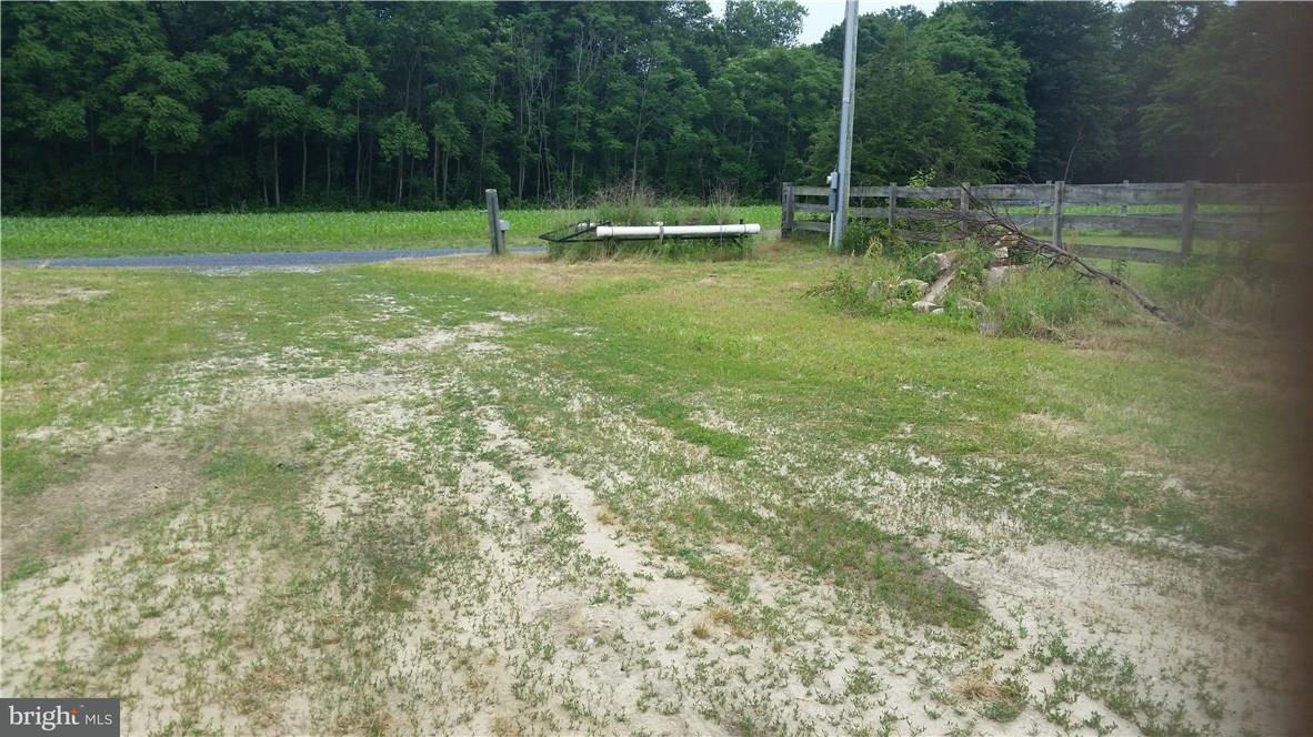 12306 Carpenter Road Ellendale, DE 19941 - Photo 2 of 41 Gallery Image 2