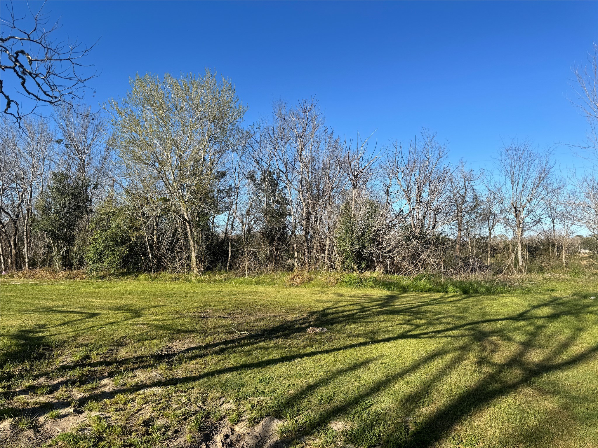 0 Tolbert Street Needville, TX 77461 - Photo 3 of 6