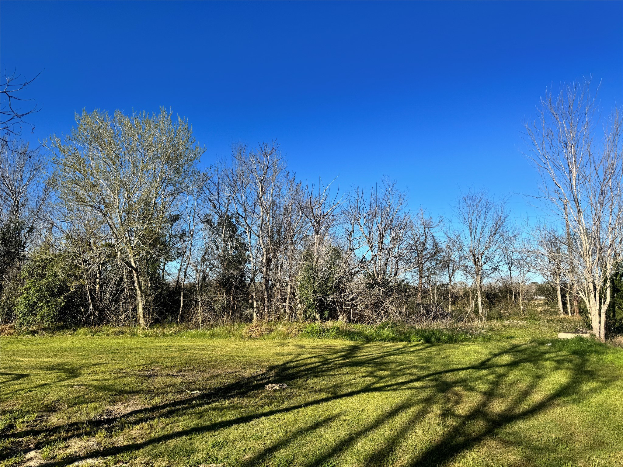 0 Tolbert Street Needville, TX 77461 - Photo 4 of 6