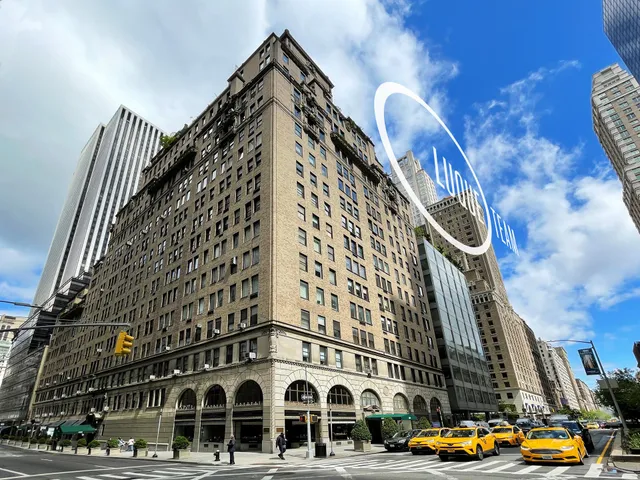 a living room with furniture a fireplace and a potted plant
