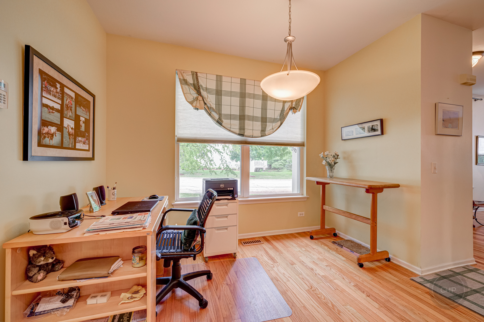 372 Ridge Road North Aurora, IL 60542 - Photo 25 of 33