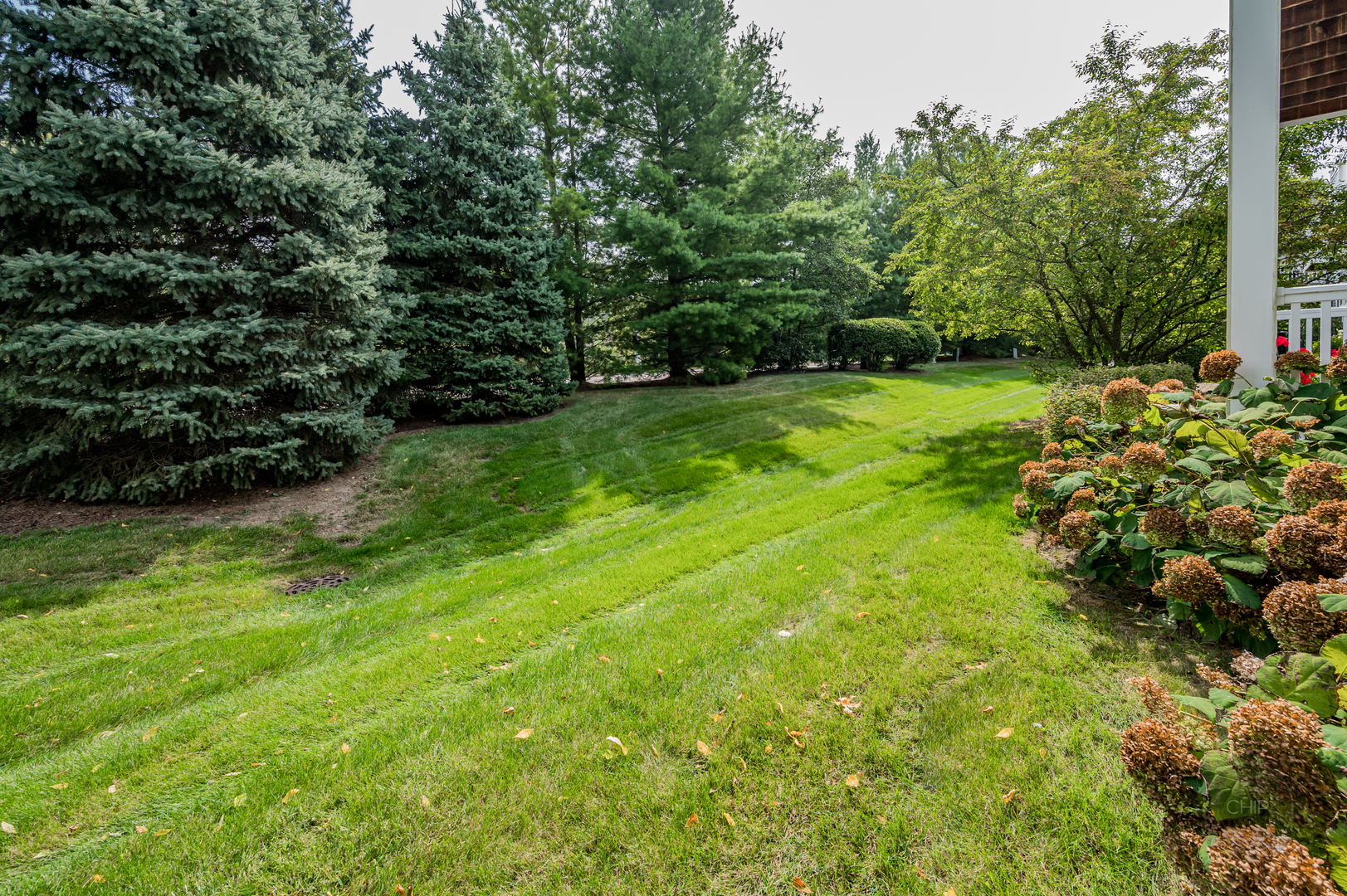 372 Ridge Road North Aurora, IL 60542 - Photo 33 of 33