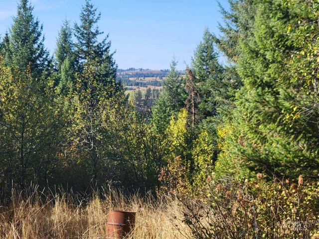 $125,000 | 250 Shenandoah Third Street, Kamiah, ID 83536