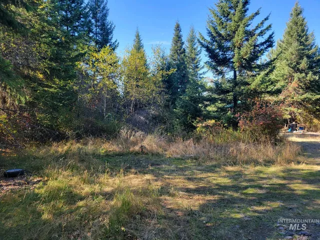 $125,000 | 250 Shenandoah Third Street, Kamiah, ID 83536