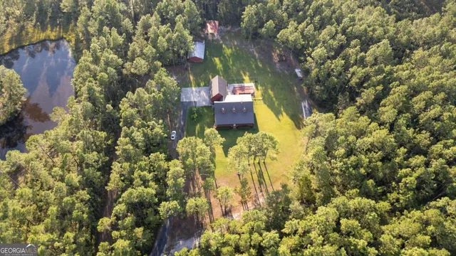 a vase of flowers sitting in a yard