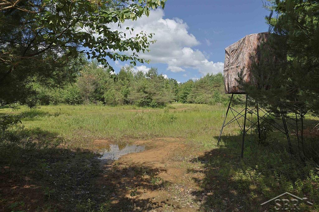 2202 West Huckleberry Road Sanford, MI 48657 - Photo 58 of 64