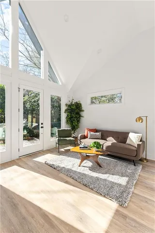 a living room with furniture and a potted plant
