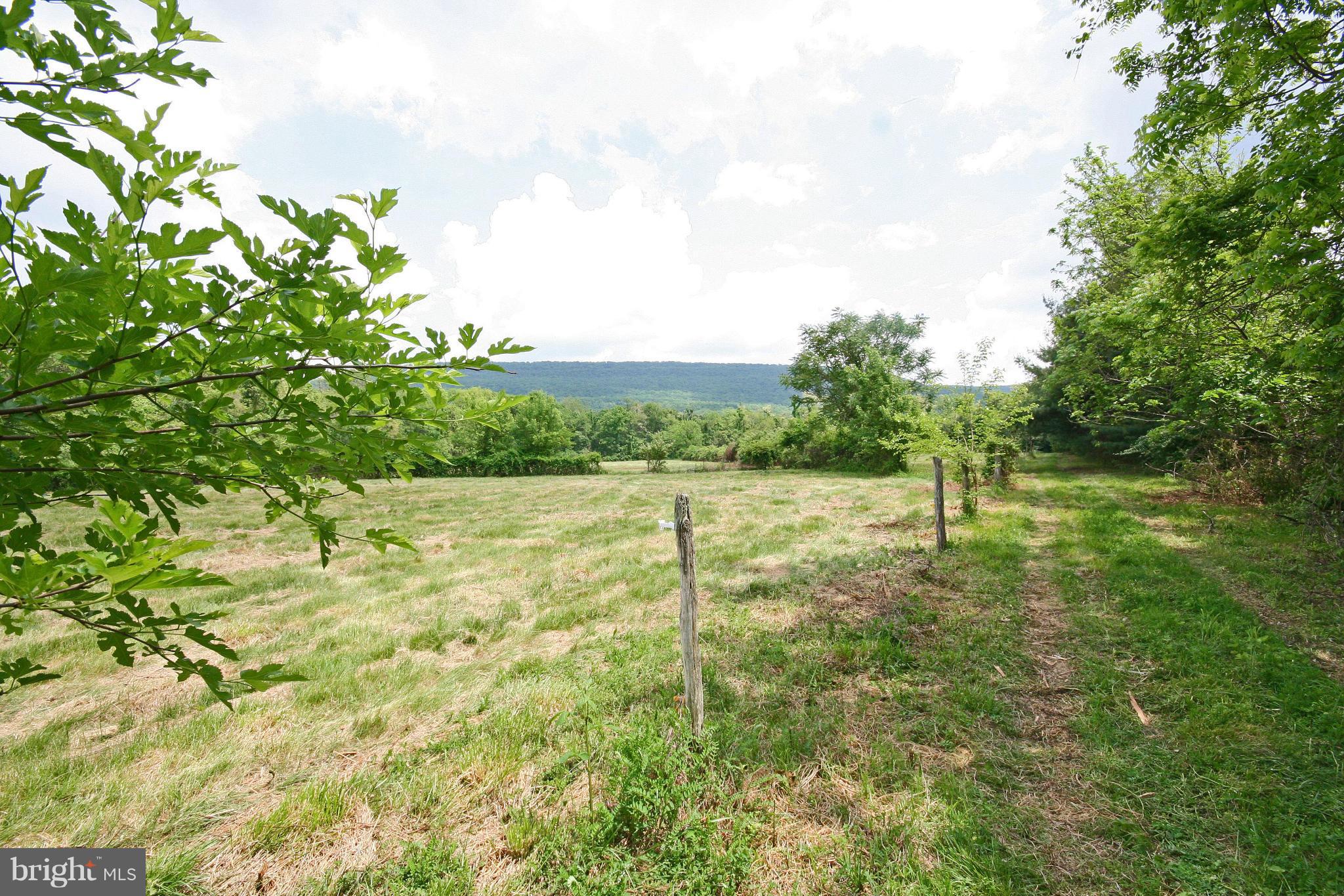 21347 Ridenour Road Boonsboro, MD 21713 - Photo 14 of 23 Exterior (General)