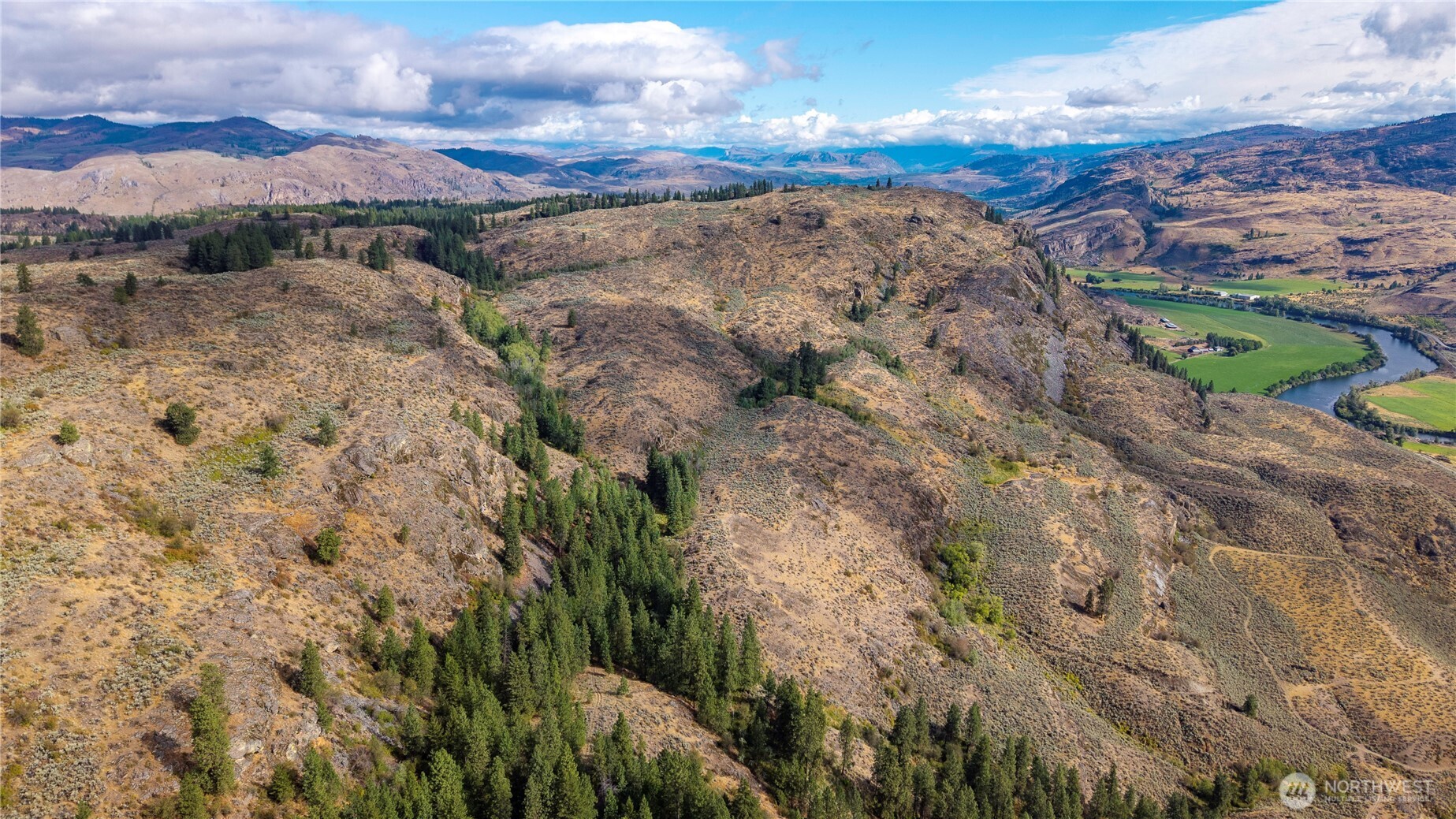 0 Tbd Pharr Out - 13 Way Riverside, WA 98849 - Photo 5 of 10 a view of a dry yard with lots of trees