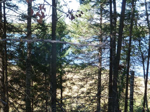 Lot 18 Bobcat Road Presque Isle, WI 54557 - Photo 3 of 8 Gallery Image 3