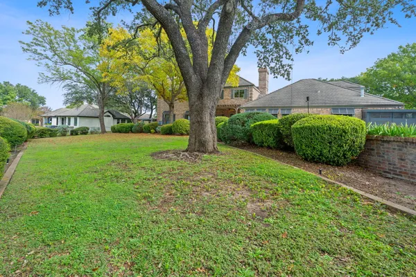 a view of a garden with plants and large trees