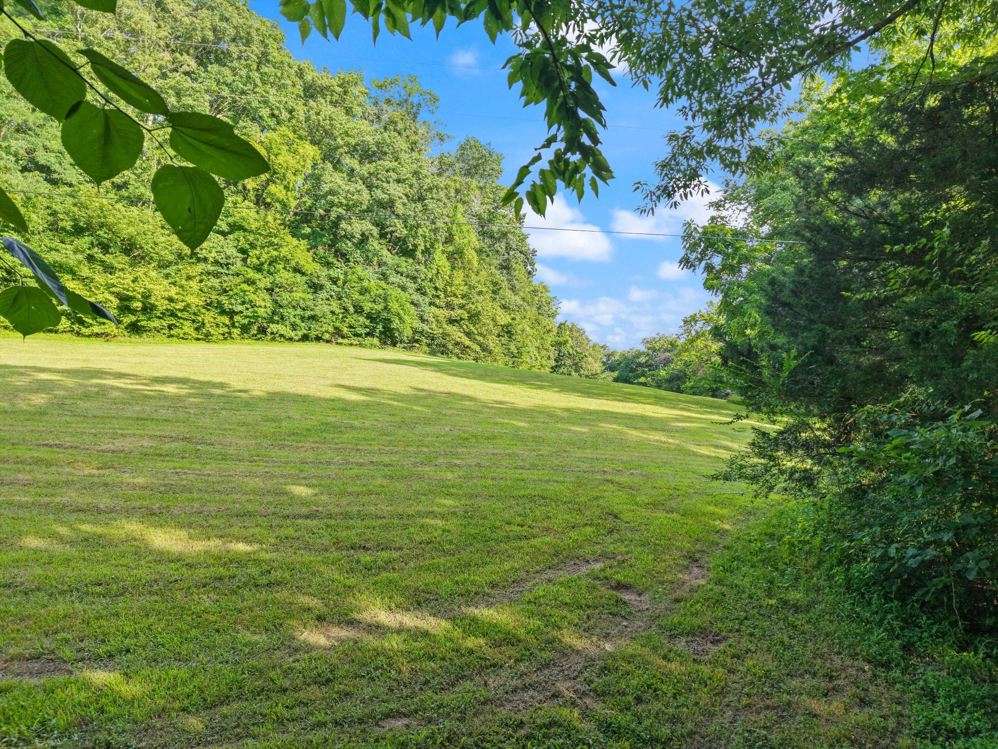 3360 Sweeney Hollow Road Franklin, TN 37064 - Photo 55 of 67 a view of an ocean from a yard