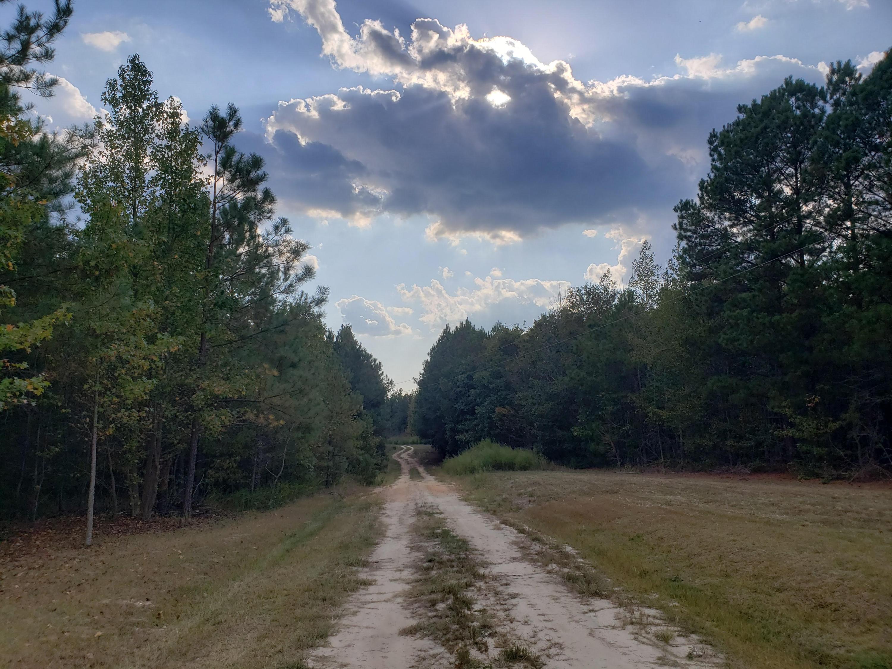 140 Tracy Road West End, NC 27376 - Photo 2 of 7 20190925_165122