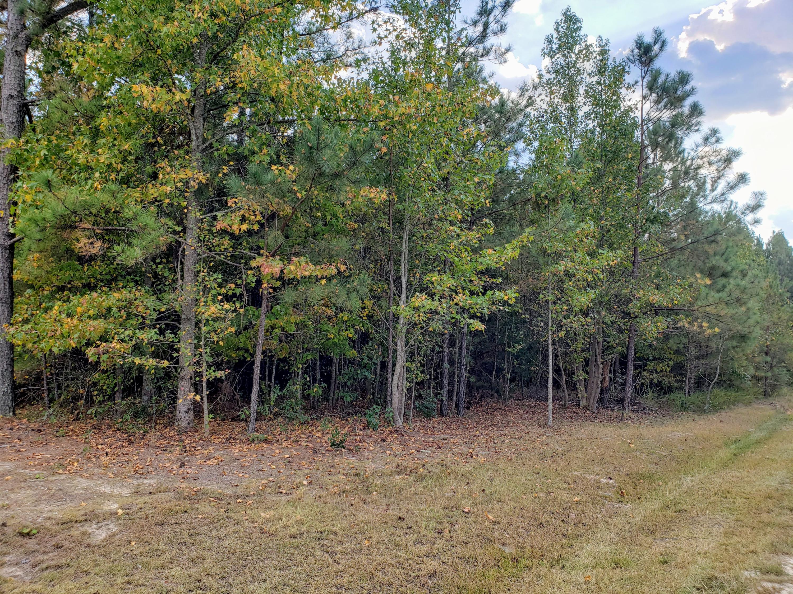 140 Tracy Road West End, NC 27376 - Photo 3 of 7 20190925_165128