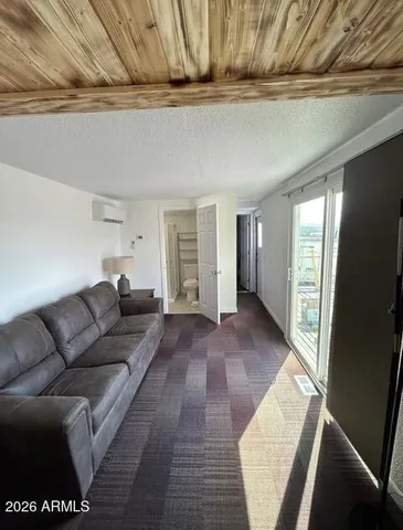 a living room with furniture and a rug