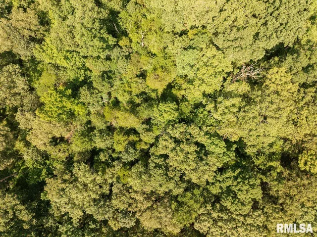 $580,000 | 32 New Home Road, Eddyville, IL 62928