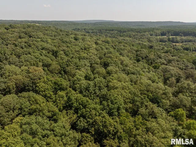 $580,000 | 32 New Home Road, Eddyville, IL 62928