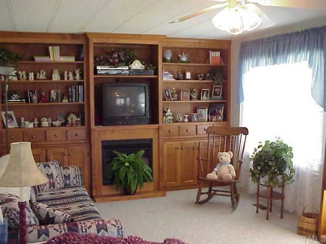 90 Pine Ridge Road Henderson, NC 27537 - Photo 2 of 11 Beautiful built-in cabinet in family room, with gas logs thermostatic controll and entertainment alcove above, carpet only a few years old.