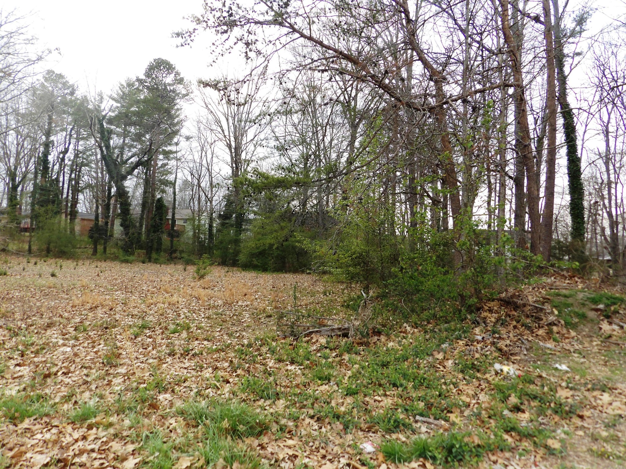 14 Cicero Trail Chattanooga, TN 37421 - Photo 2 of 8