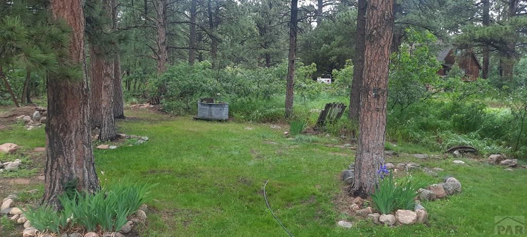8160 Birch Drive Rye, CO 81069 - Photo 41 of 46
