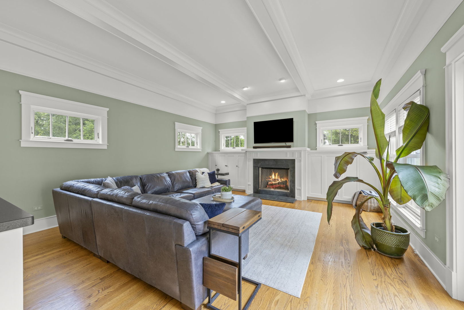 900 East Indiana Street Wheaton, IL 60187 - Photo 14 of 54 a living room with furniture a fireplace and a flat screen tv