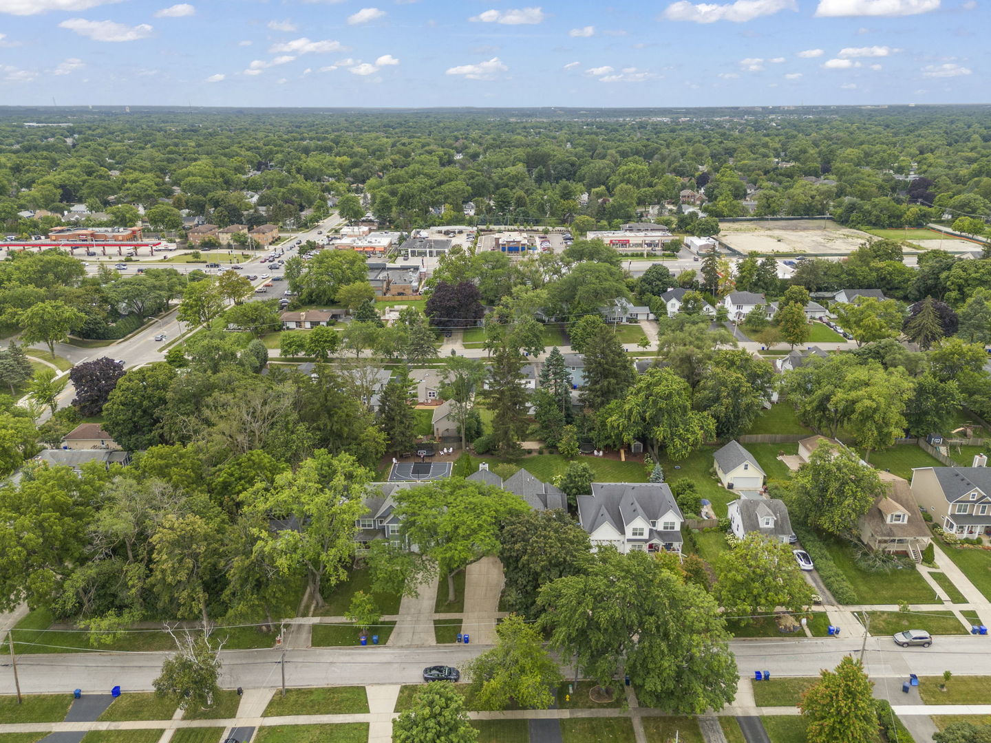 900 East Indiana Street Wheaton, IL 60187 - Photo 46 of 54 an aerial view of residential houses with outdoor space and trees