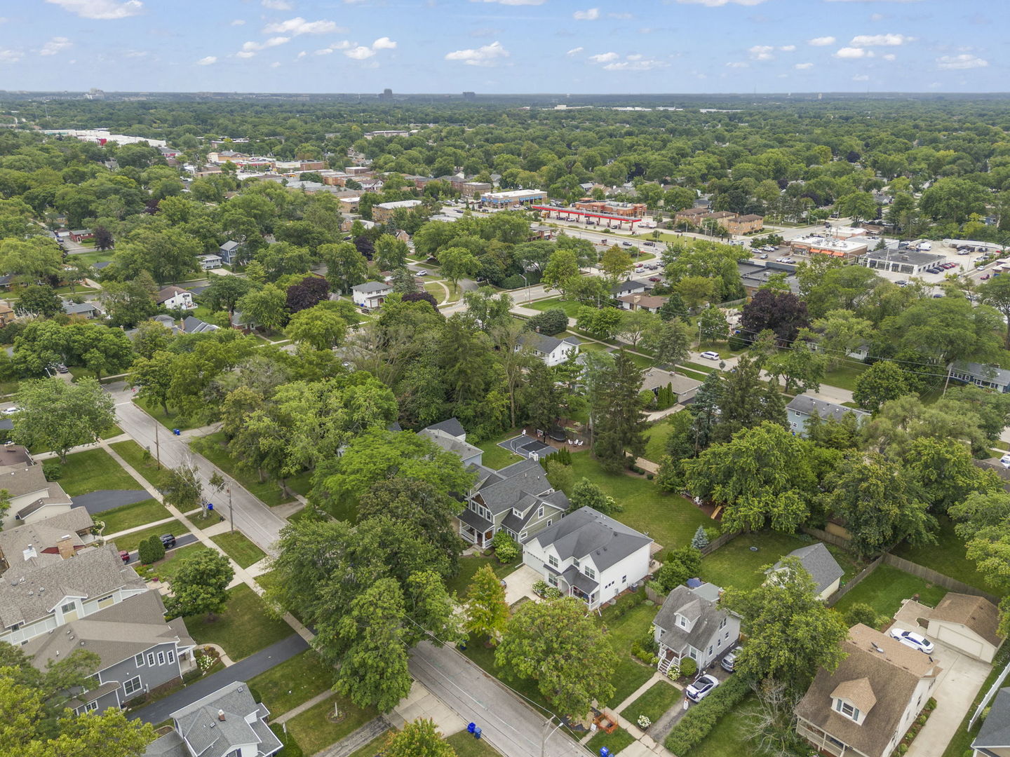900 East Indiana Street Wheaton, IL 60187 - Photo 47 of 54 an aerial view of residential houses with outdoor space and trees