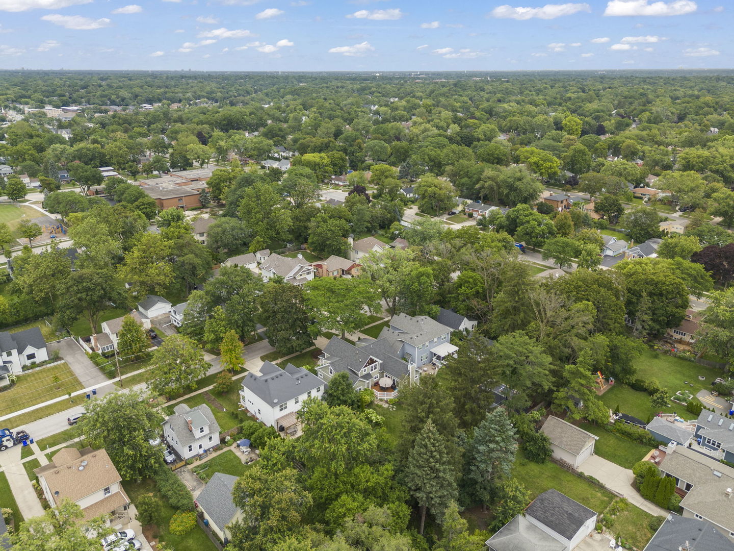 900 East Indiana Street Wheaton, IL 60187 - Photo 48 of 54 an aerial view of residential houses with outdoor space and trees