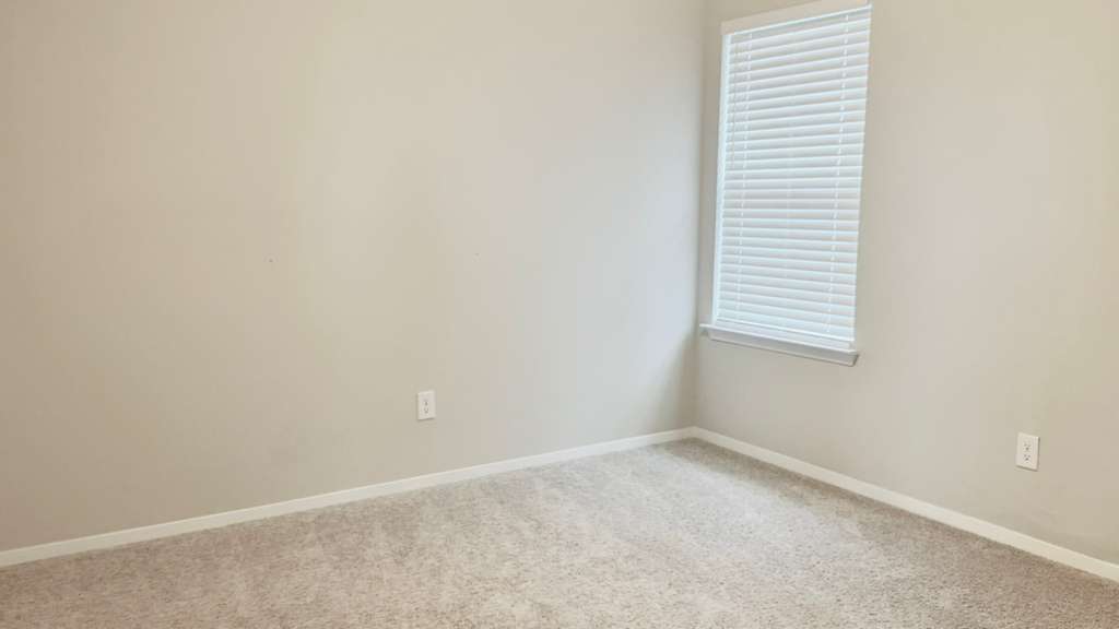 1305 Goforth Road Kyle, TX 78640 - Photo 16 of 23 Unfurnished room with light carpet and baseboards