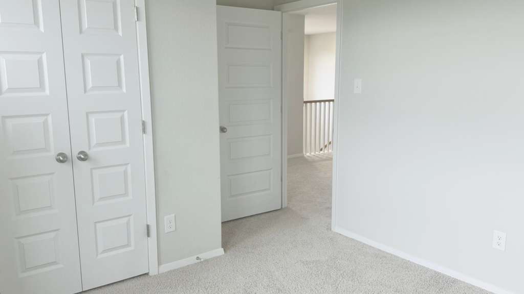 1305 Goforth Road Kyle, TX 78640 - Photo 18 of 23 Unfurnished bedroom featuring light carpet and a closet
