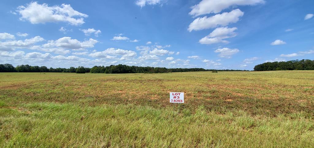 3-acres 3-acres Singletary Road Dothan, AL 36301 - Photo 1 of 1