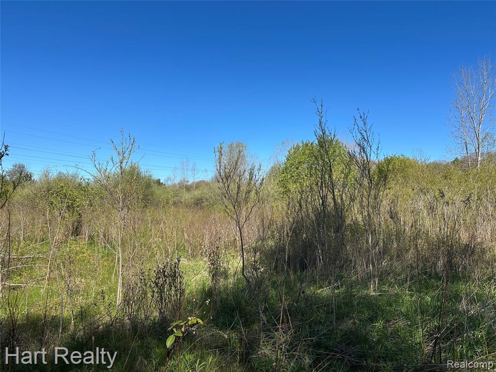 13 Single Tree Circle Dryden, MI 48428 - Photo 5 of 10