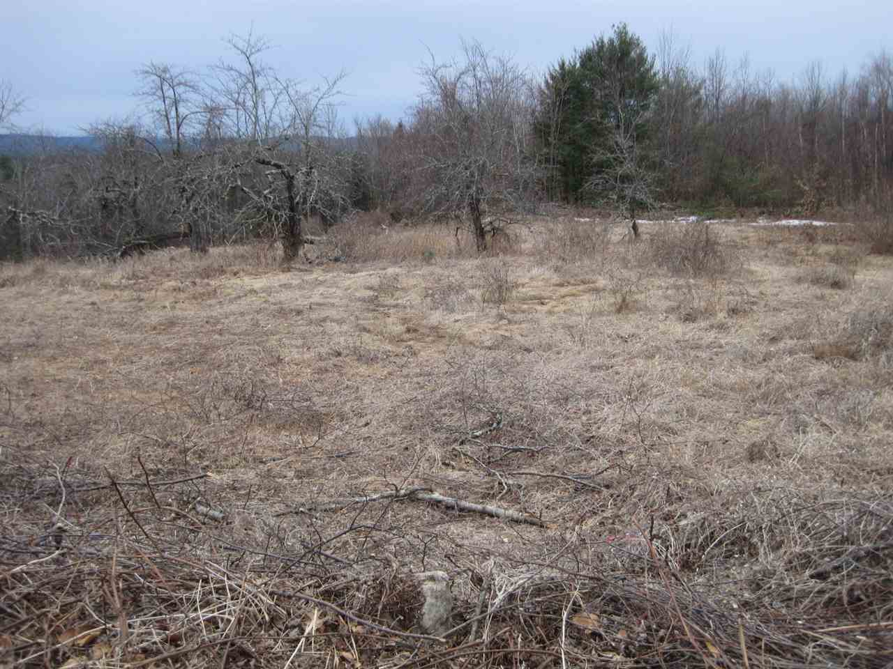 58 Purgatory Road Mont Vernon, NH 03057 - Photo 3 of 3 Gallery Image 3