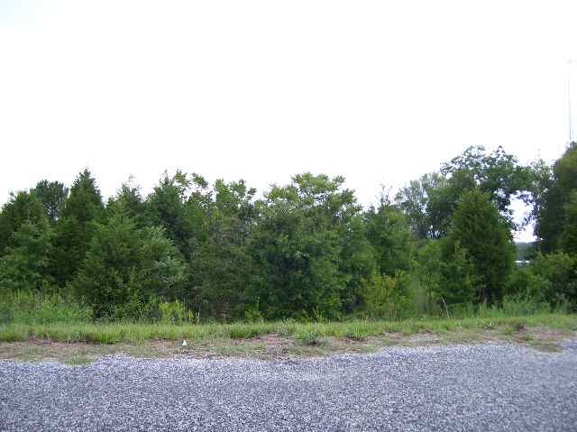Lot 26 Beaver Dam Road Gray Court, SC 29645 - Photo 2 of 2