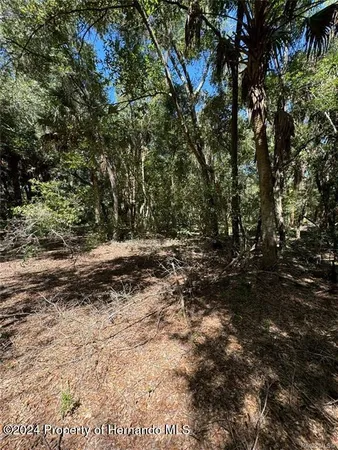 a view of outdoor space with trees