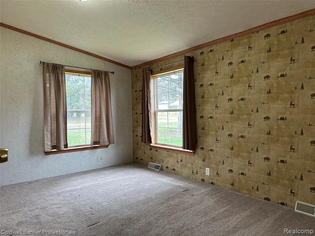 1725 East Burnside Road North Branch, MI 48461 - Photo 6 of 18