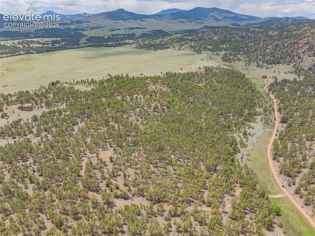 4250 Doe Valley Road Guffey, CO 80820 - Photo 5 of 35