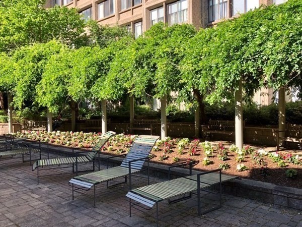 1731 Beacon Street, Unit 1015 Brookline, MA 02445 - Photo 3 of 19