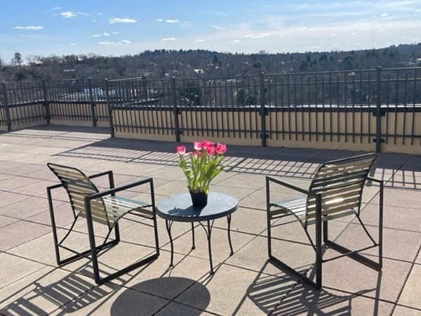 1731 Beacon Street, Unit 1015 Brookline, MA 02445 - Photo 6 of 19