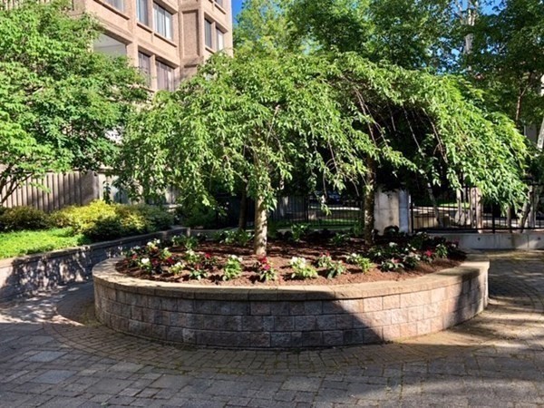 1731 Beacon Street, Unit 1015 Brookline, MA 02445 - Photo 8 of 19