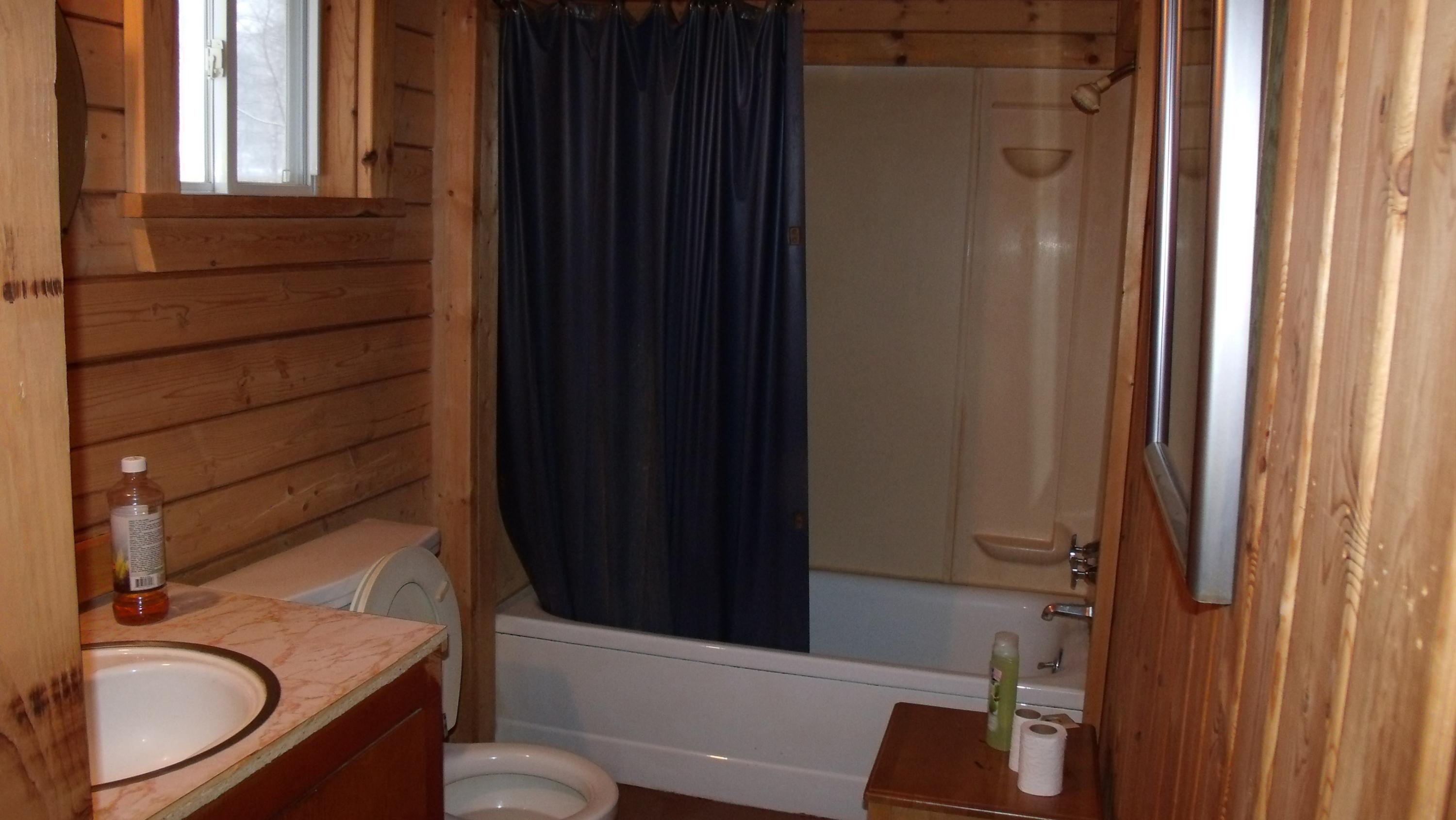 5206 Wilson Road Indian River, MI 49749 - Photo 14 of 16 Gallery Image 14