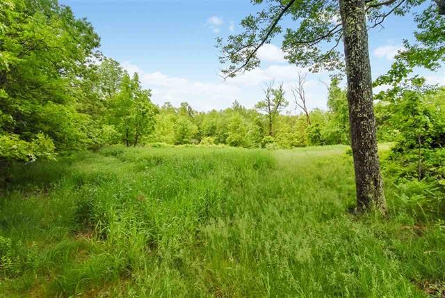 0 Scripps Lane, Unit E362 Mason, NH 03048 - Photo 4 of 5