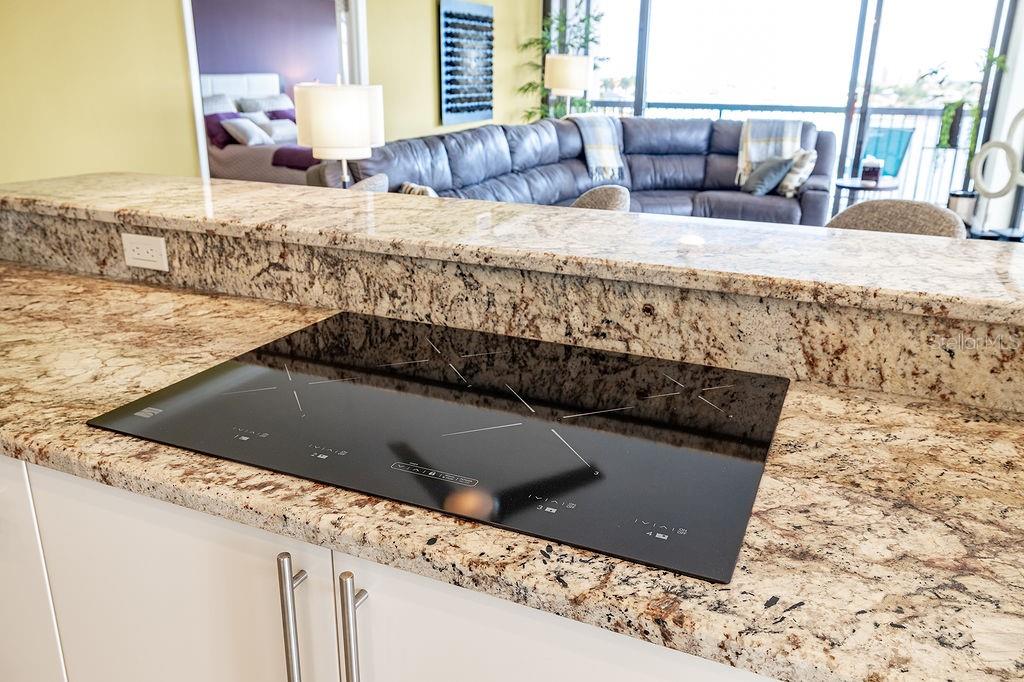 9425 Blind Pass Road, Unit 508 St. Pete Beach, FL 33706 - Photo 17 of 54